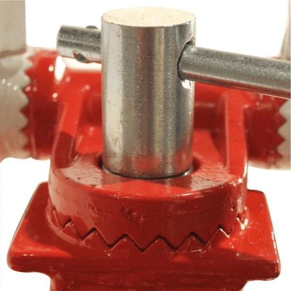 Мотокултиватор Bisonte Agro Garden BTA-900 - 7 к.с., 560–830 мм, 300 мм