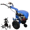 Мотокултиватор Bisonte BTA-FLASH250H - Honda GX200 ,6,5 к.с., 380–900 мм, 300 мм.