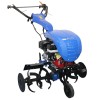 Мотокултиватор Bisonte BTA-FLASH250H - Honda GX200 ,6,5 к.с., 380–900 мм, 300 мм.